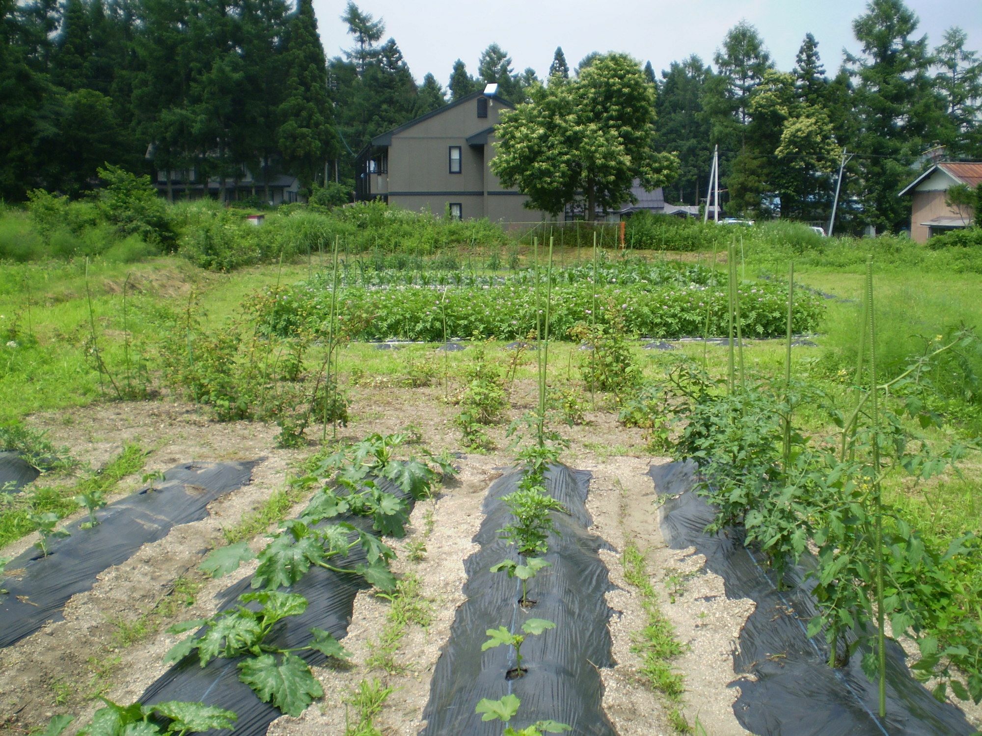 ペンション ちゃうちゃう Bed & Breakfast Hakuba Dış mekan fotoğraf