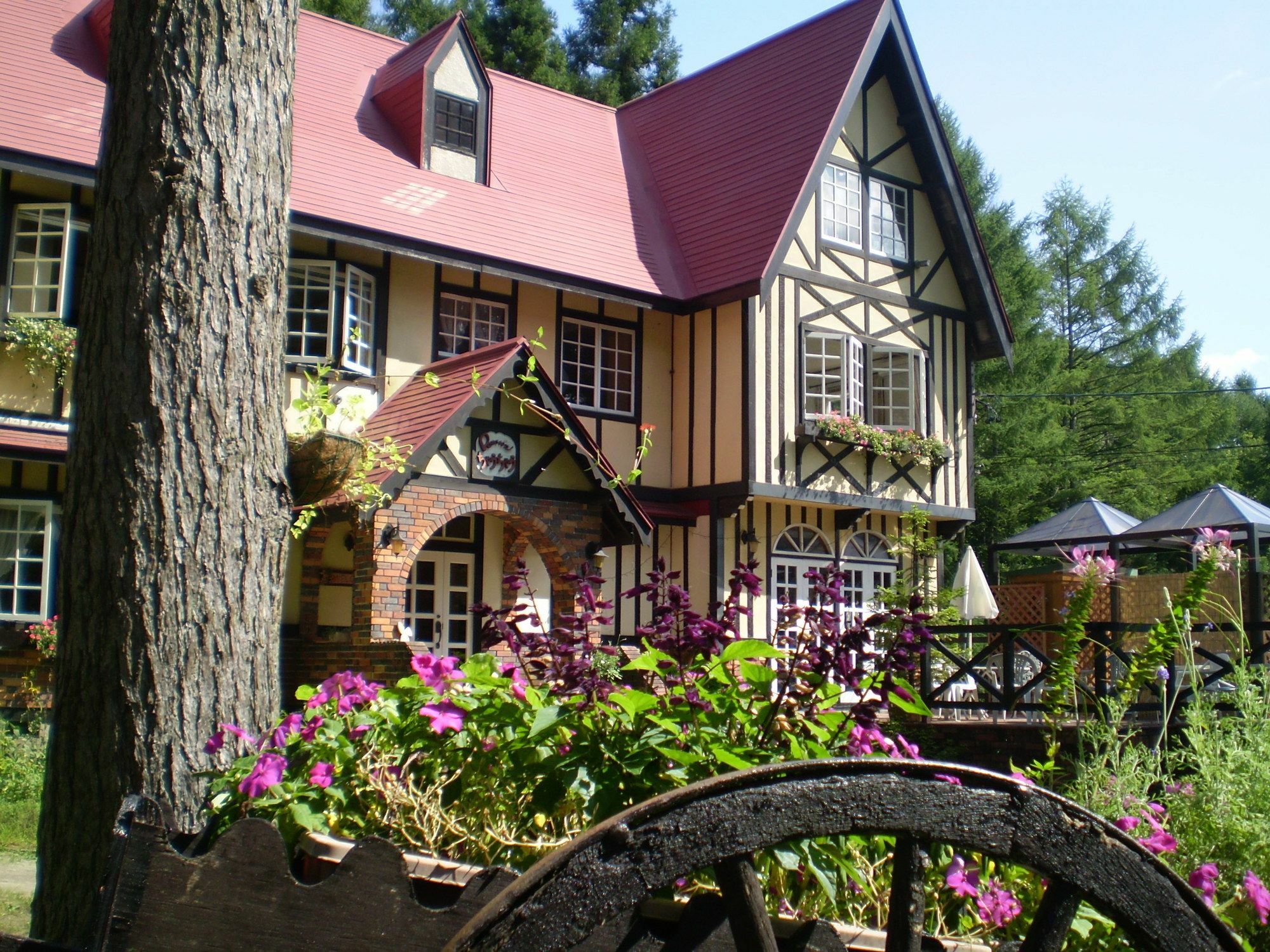 ペンション ちゃうちゃう Bed & Breakfast Hakuba Dış mekan fotoğraf