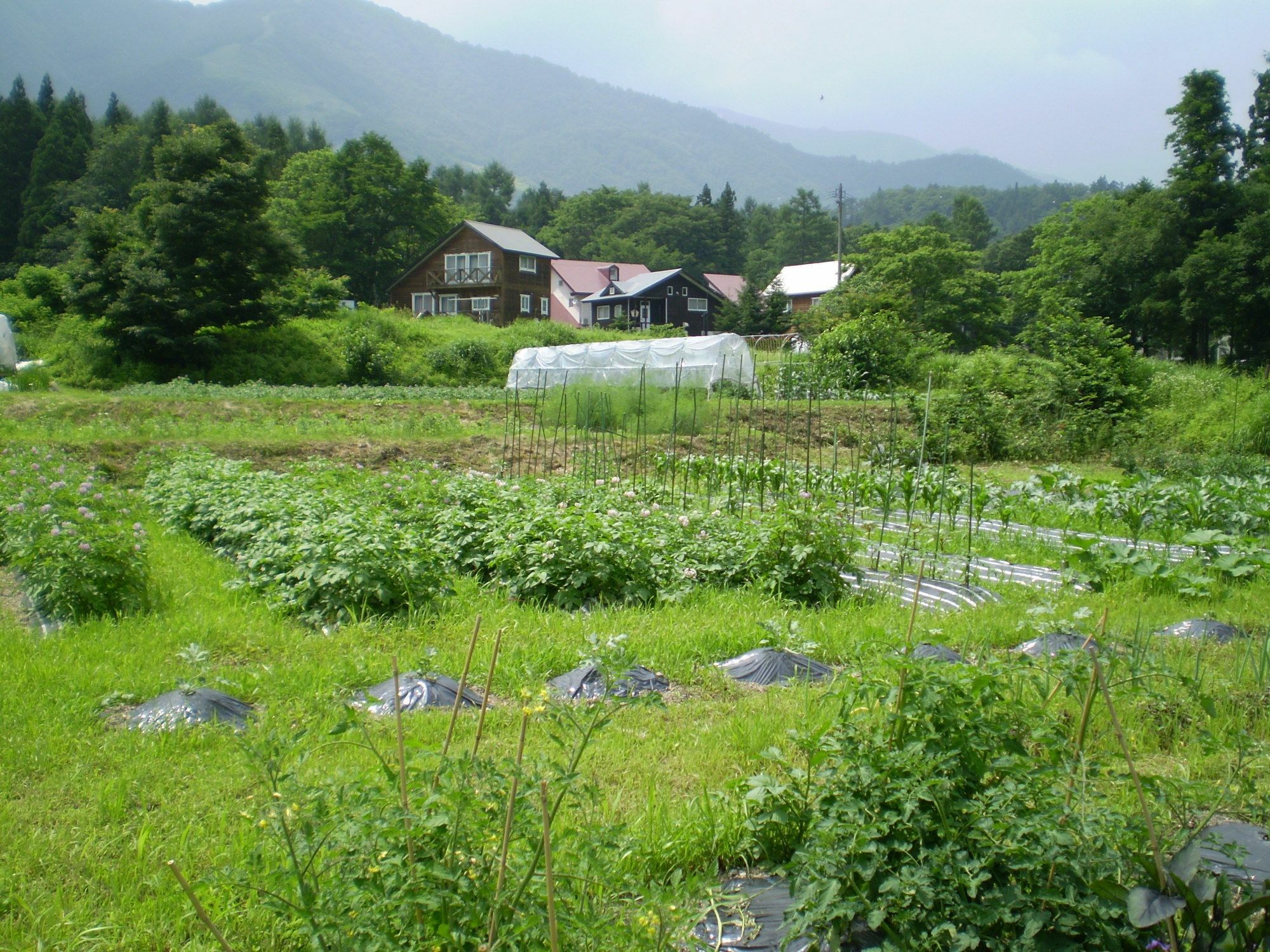 ペンション ちゃうちゃう Bed & Breakfast Hakuba Dış mekan fotoğraf